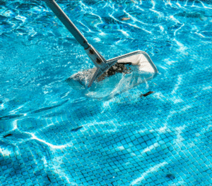 Pool Cleaning Services, Tampa FL