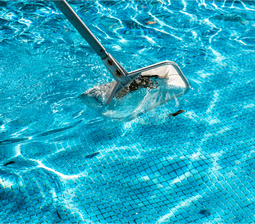 Pool Cleaning Services, Tampa FL
