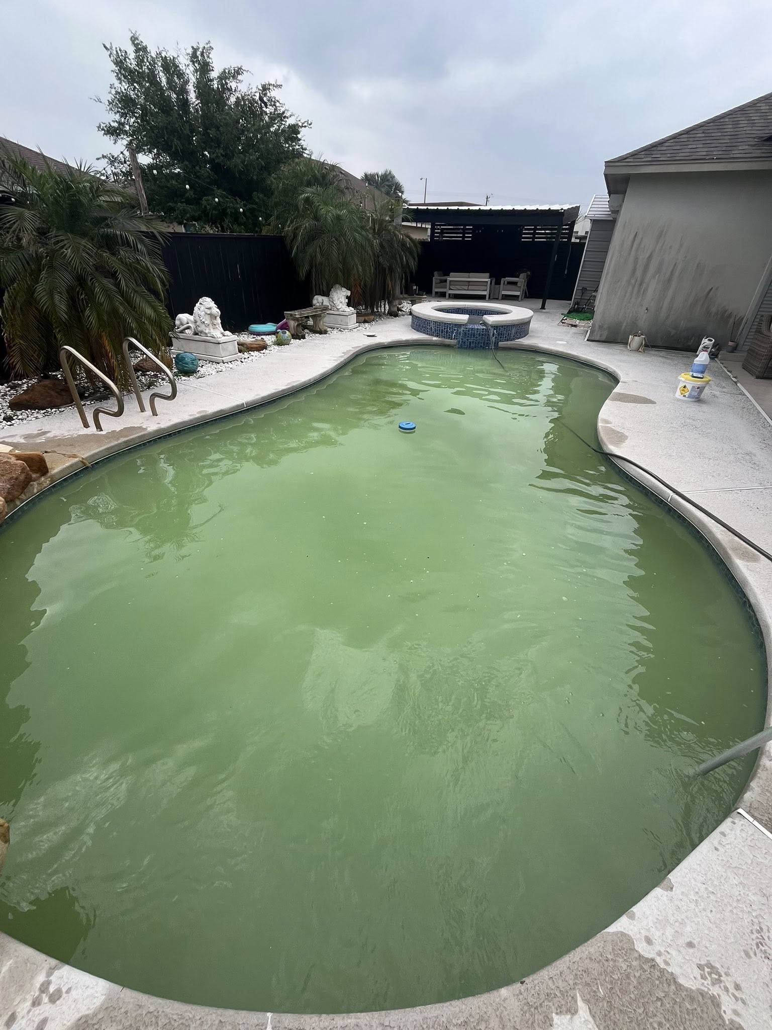 Green Pool Before